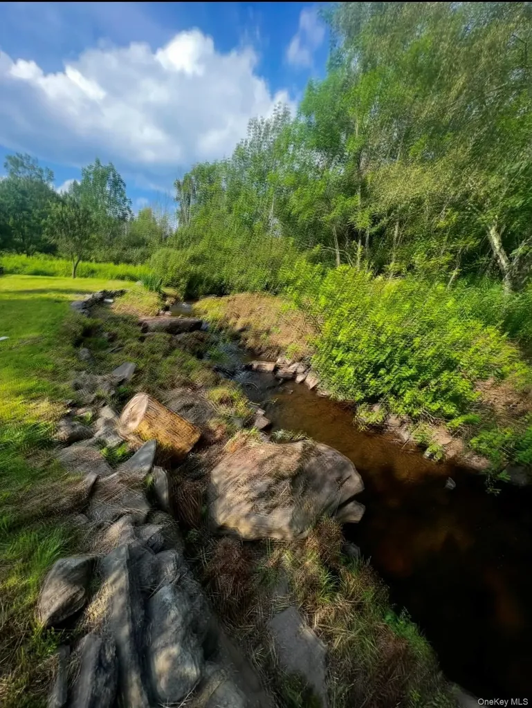542 Mitchell Hollow Road Windham NY 12496