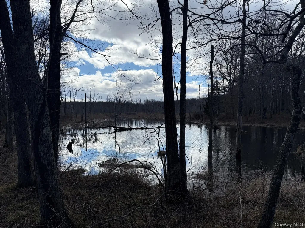 Collabar Road Montgomery NY 12549
