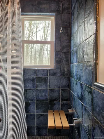 8 W Delaware Place Extension Smallwood NY 12778