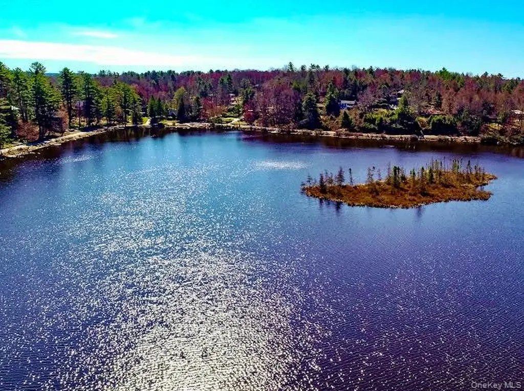 26 E Adirondack Trail Smallwood NY 12778