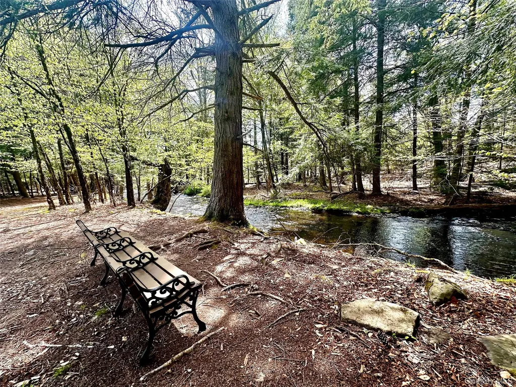 26 E Adirondack Trail Smallwood NY 12778