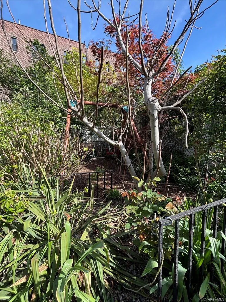 5715 66th Street Maspeth NY 11378