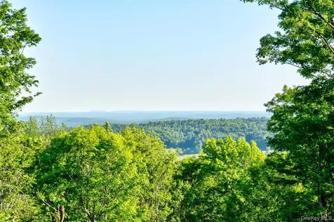 119 Overlook Circle Fremont Center NY 12736