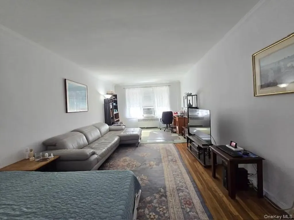 46 Grace Avenue Great Neck NY 11021