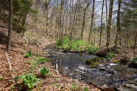 457 Round Lake Road Rhinebeck NY 12572