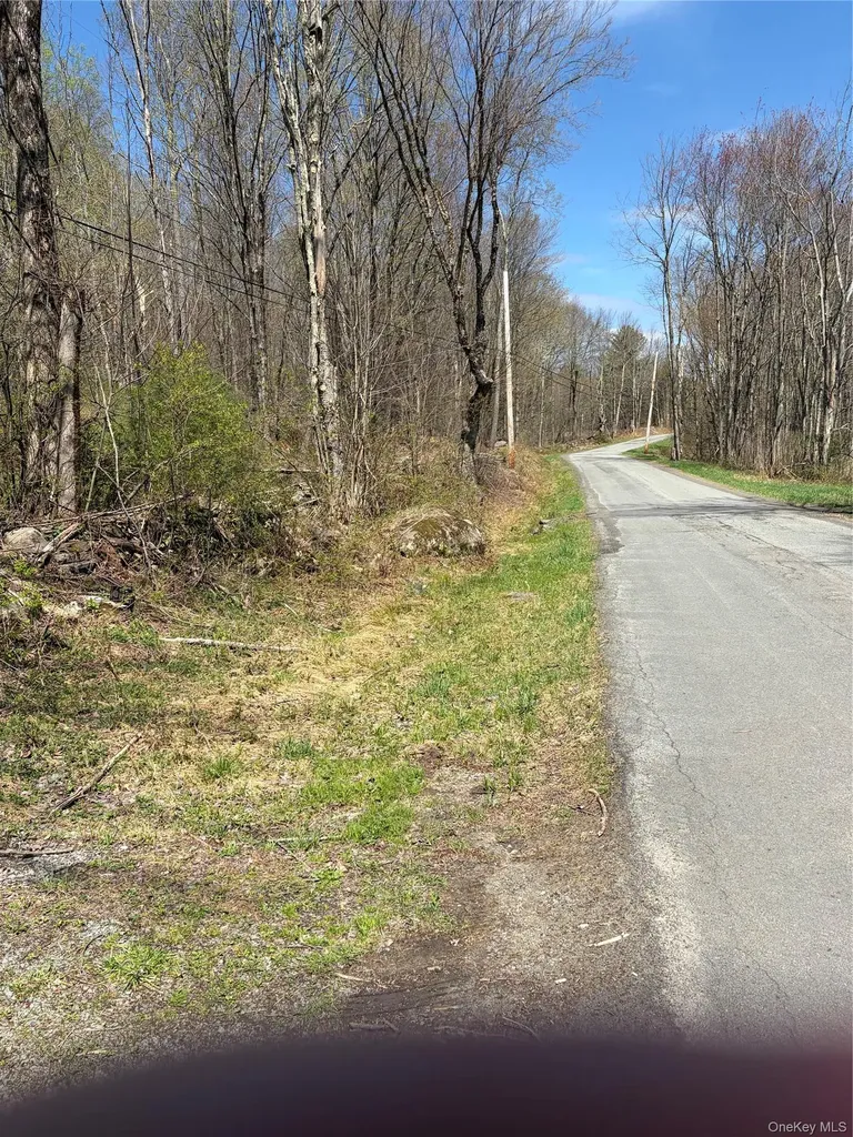 209 Stream Hollow Fallsburg NY 12428