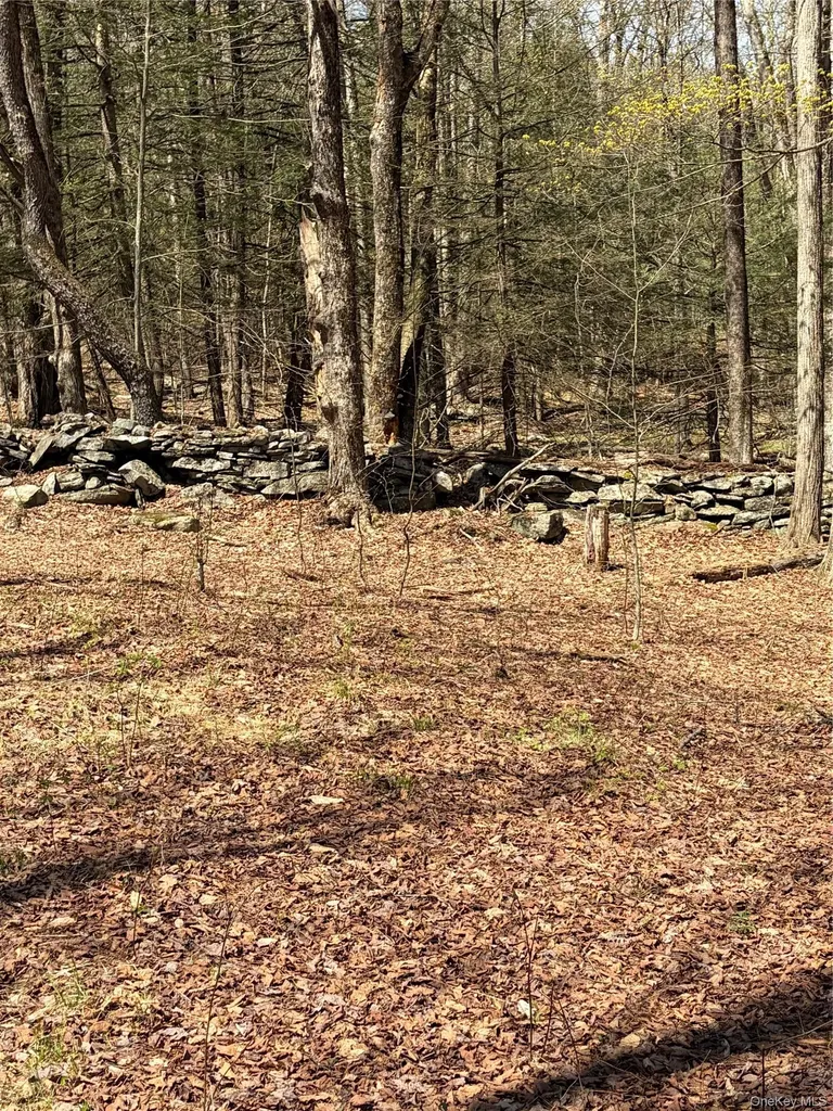 209 Stream Hollow Fallsburg NY 12428