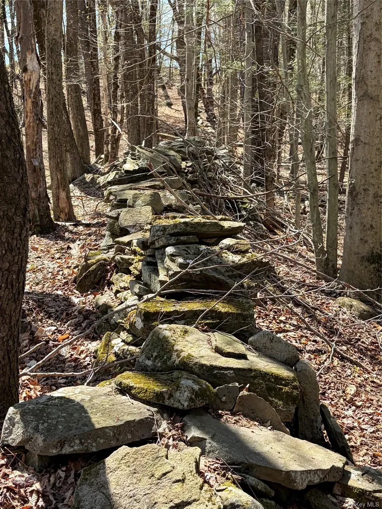 209 Stream Hollow Fallsburg NY 12428