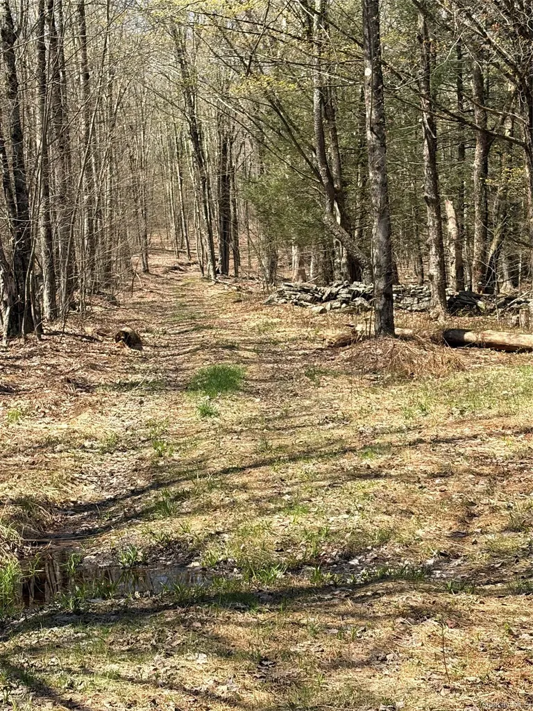 209 Stream Hollow Fallsburg NY 12428