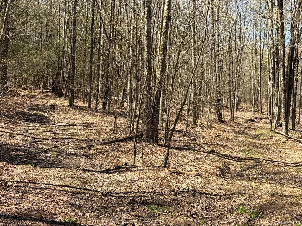 209 Stream Hollow Fallsburg NY 12428