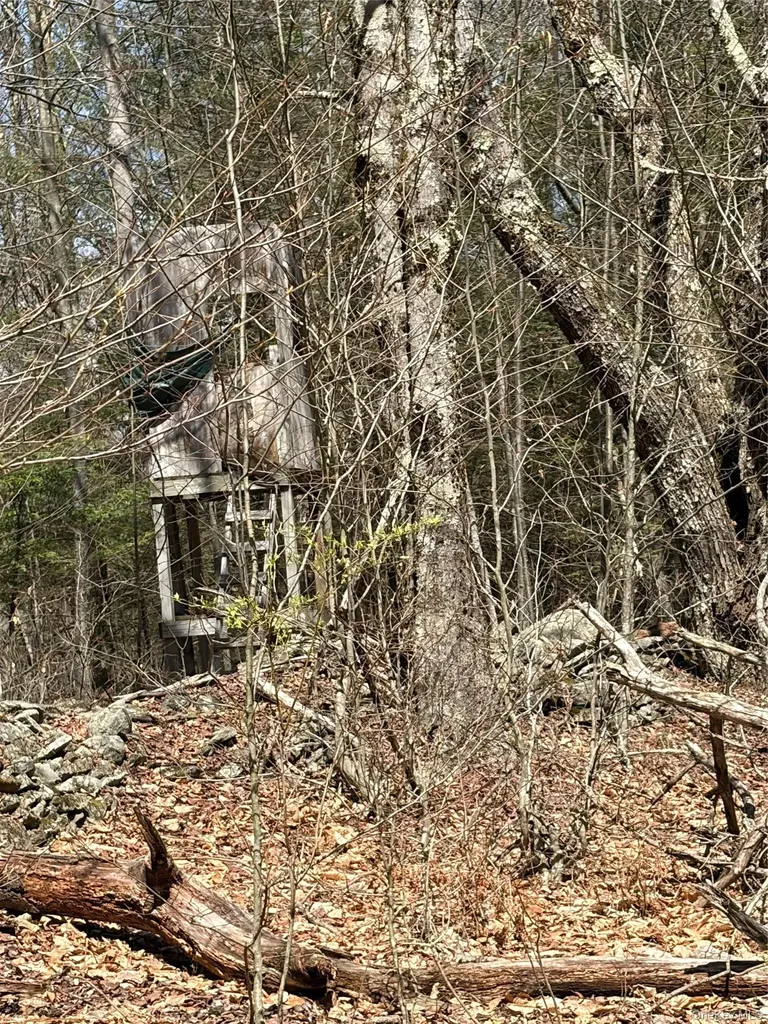 209 Stream Hollow Fallsburg NY 12428