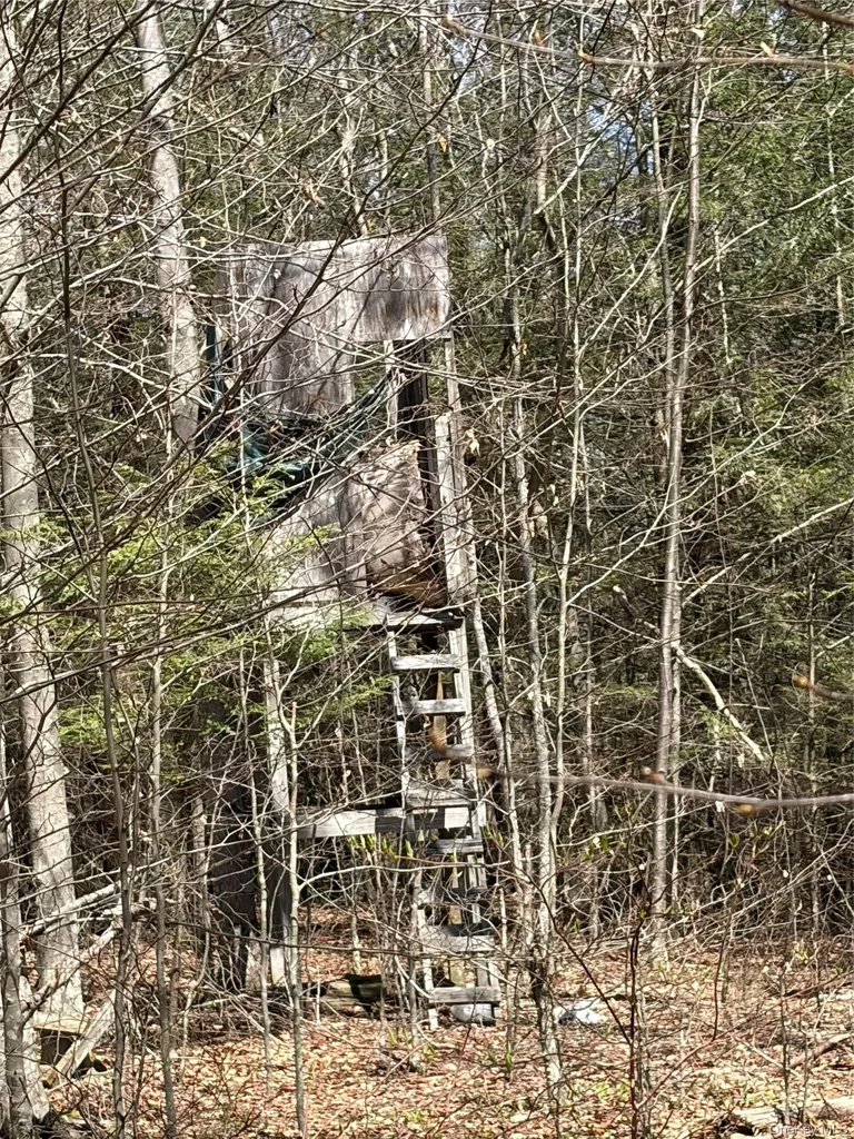 209 Stream Hollow Fallsburg NY 12428