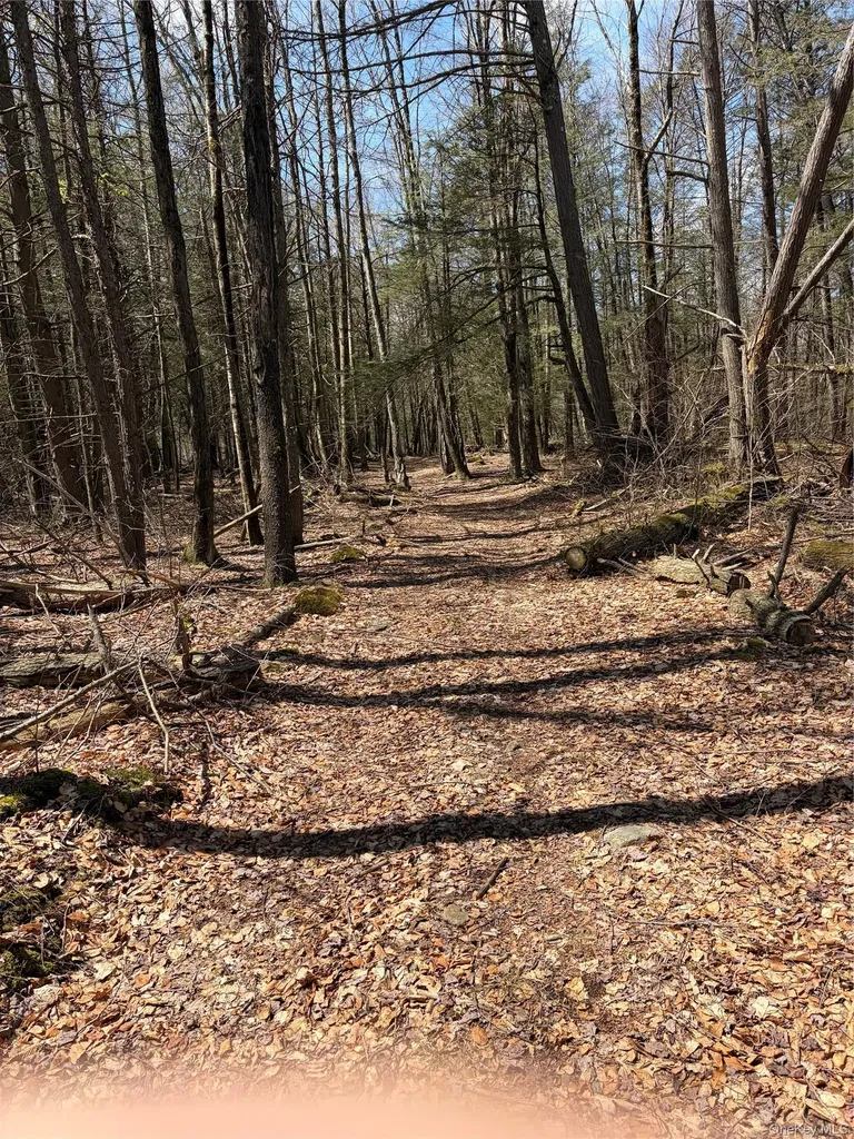 209 Stream Hollow Fallsburg NY 12428