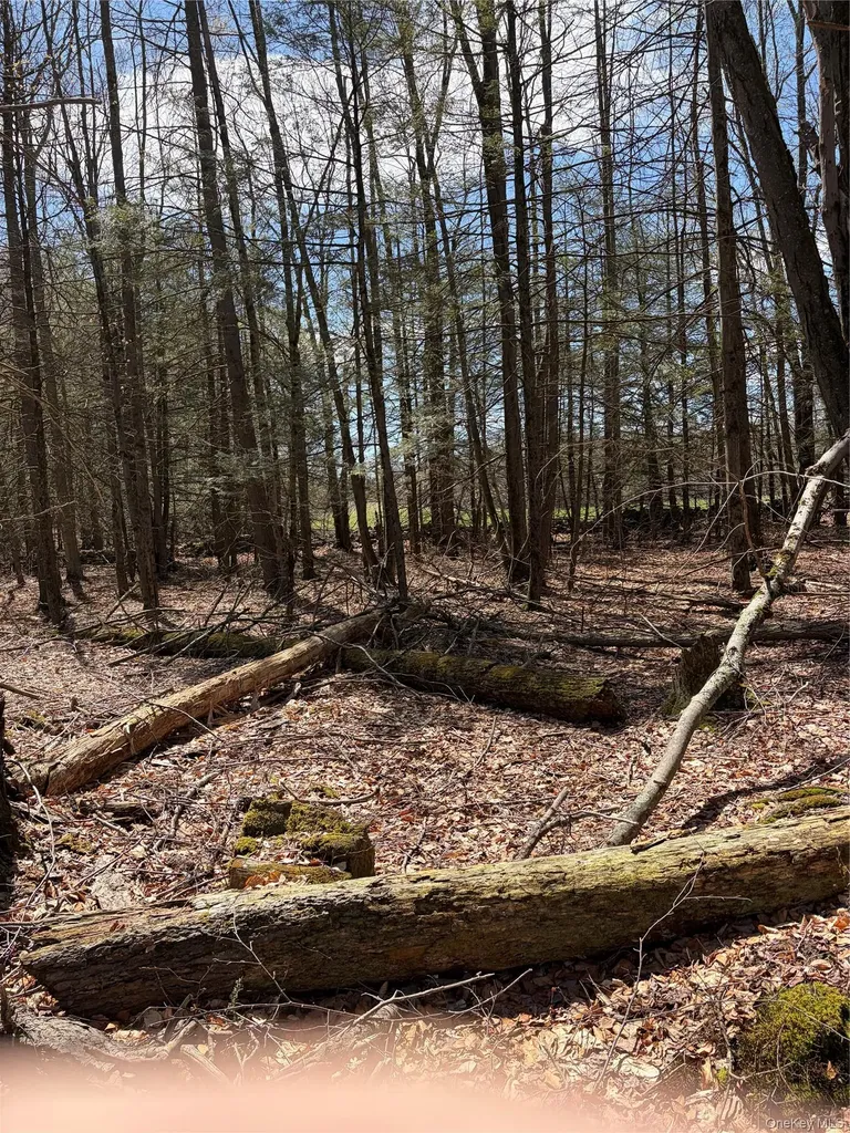 209 Stream Hollow Fallsburg NY 12428