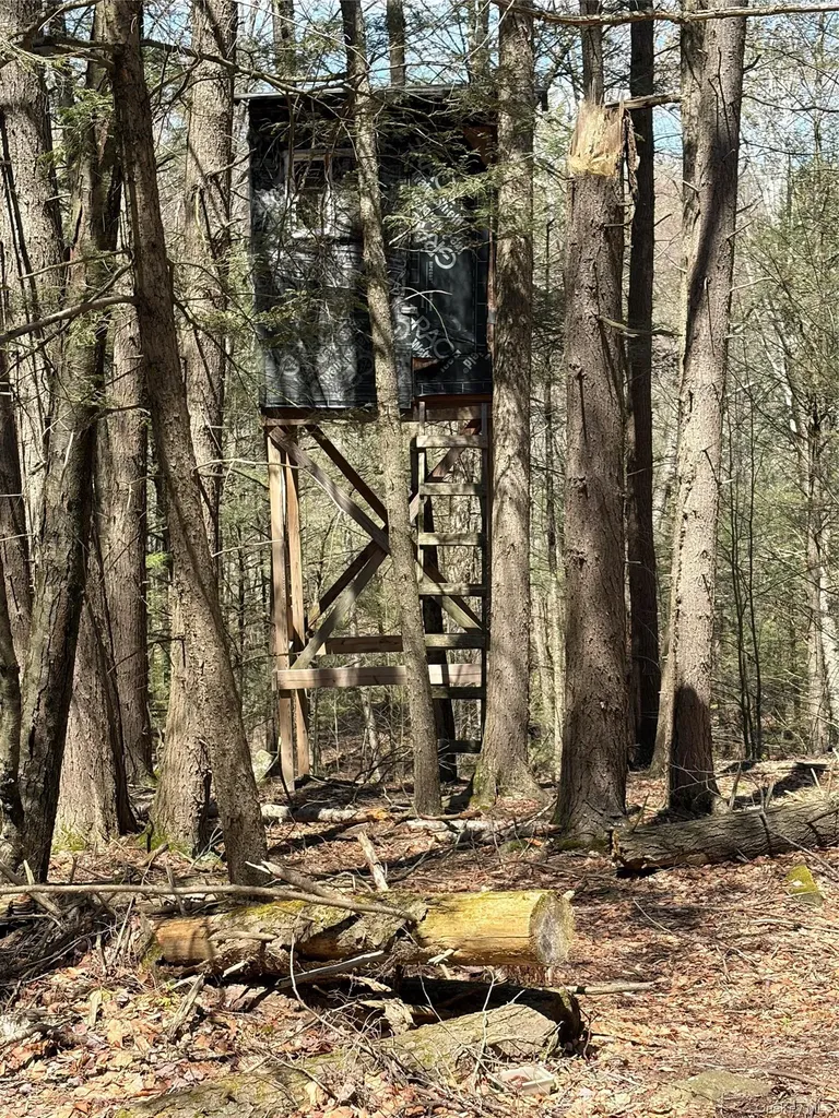 209 Stream Hollow Fallsburg NY 12428