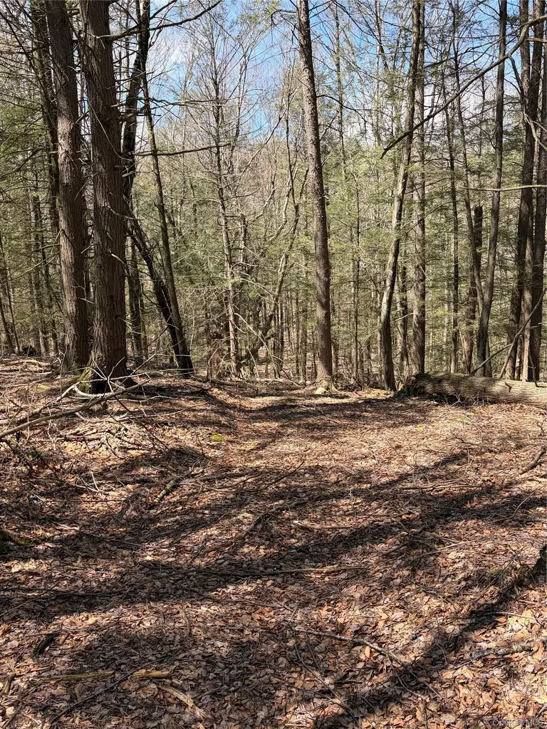 209 Stream Hollow Fallsburg NY 12428