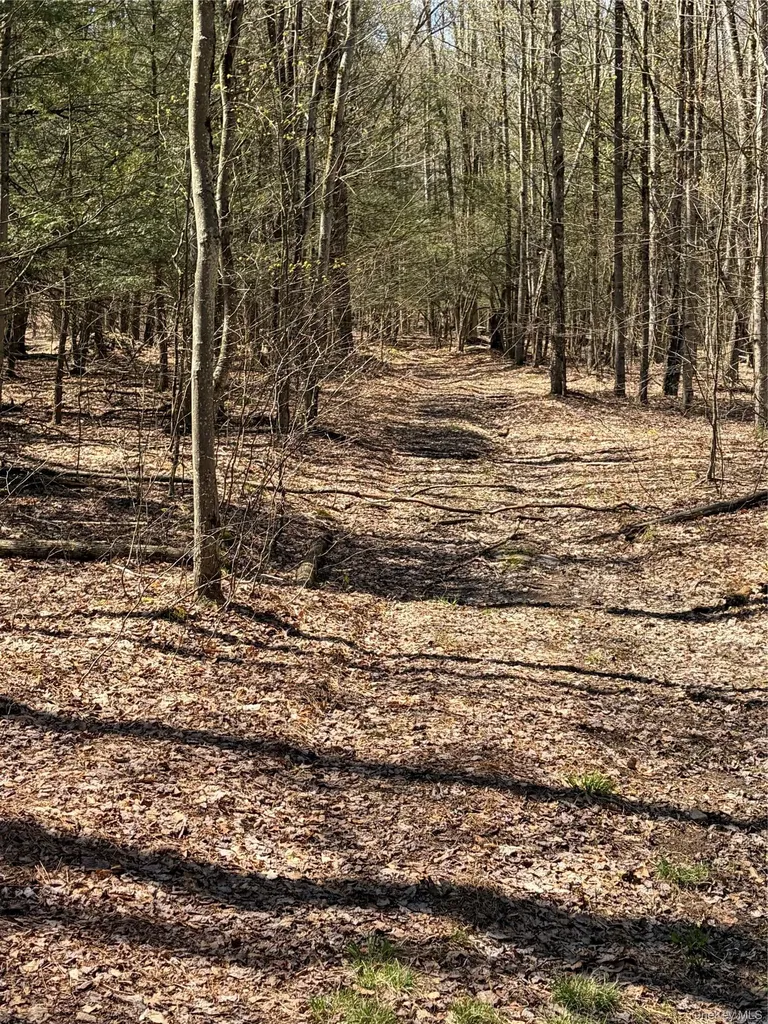 209 Stream Hollow Fallsburg NY 12428