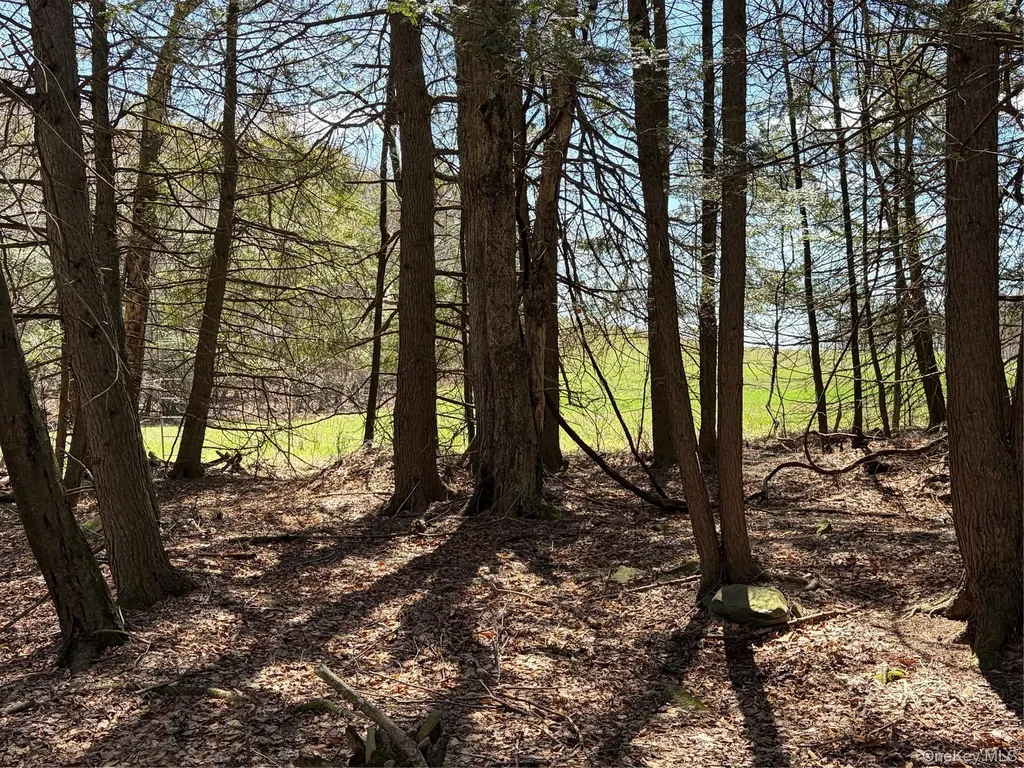 209 Stream Hollow Fallsburg NY 12428