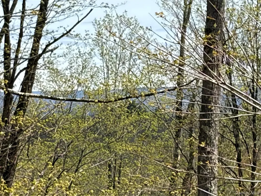 209 Stream Hollow Fallsburg NY 12428