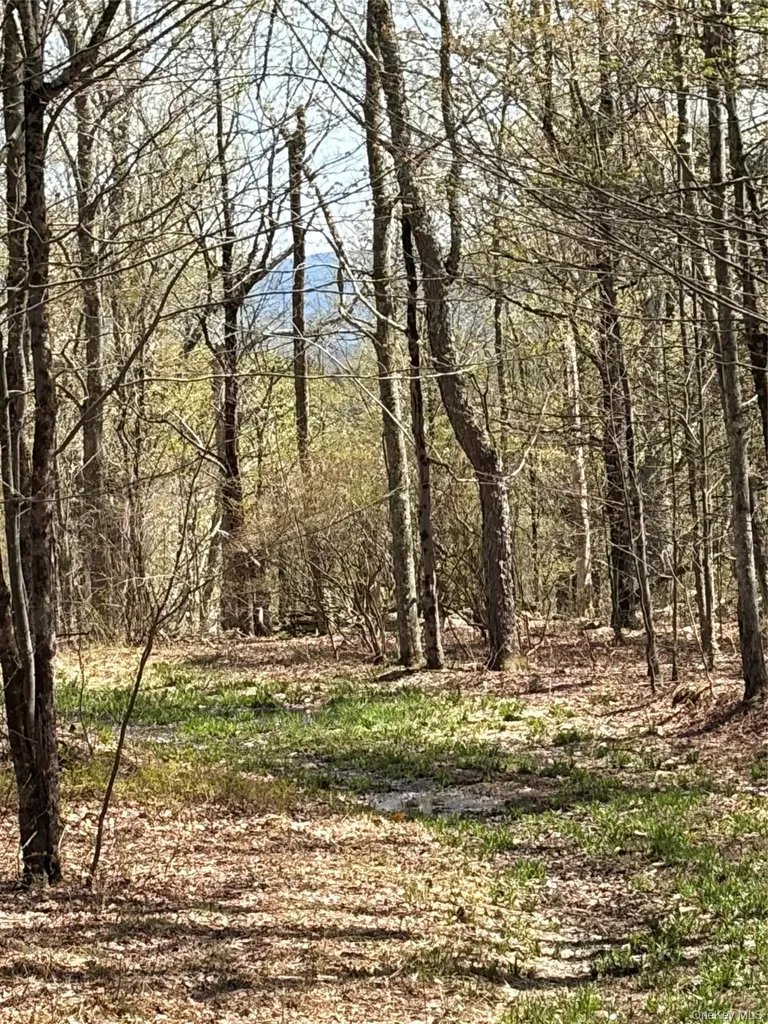 209 Stream Hollow Fallsburg NY 12428