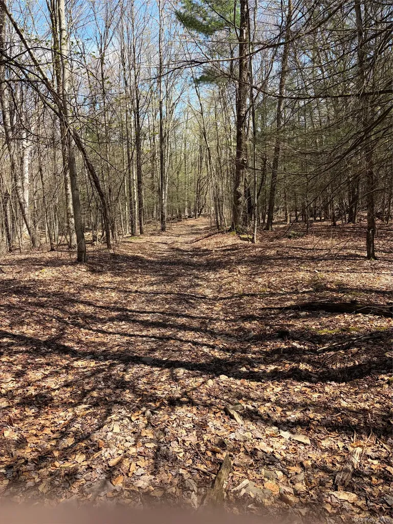 209 Stream Hollow Fallsburg NY 12428