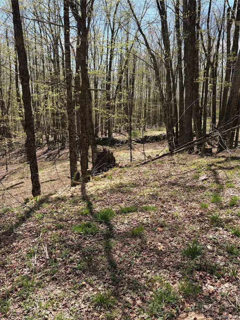209 Stream Hollow Fallsburg NY 12428