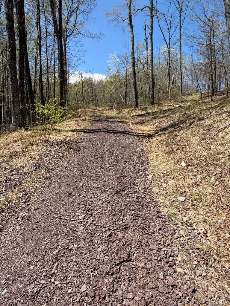 209 Stream Hollow Fallsburg NY 12428