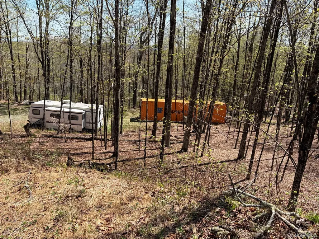 209 Stream Hollow Fallsburg NY 12428