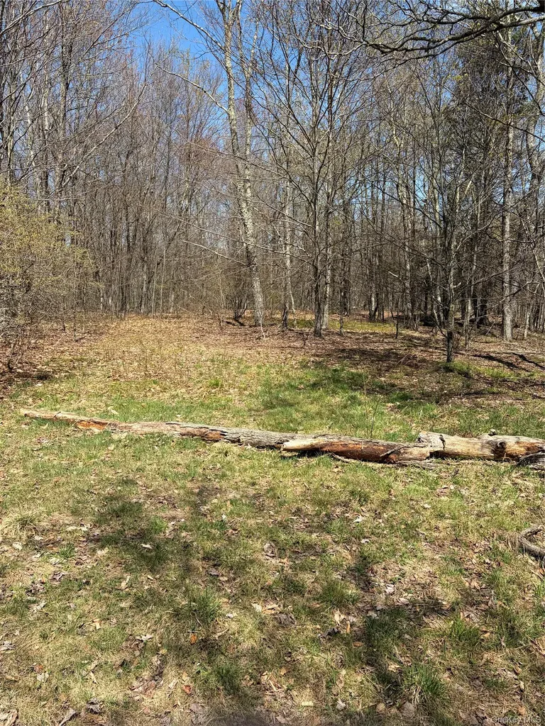 209 Stream Hollow Fallsburg NY 12428
