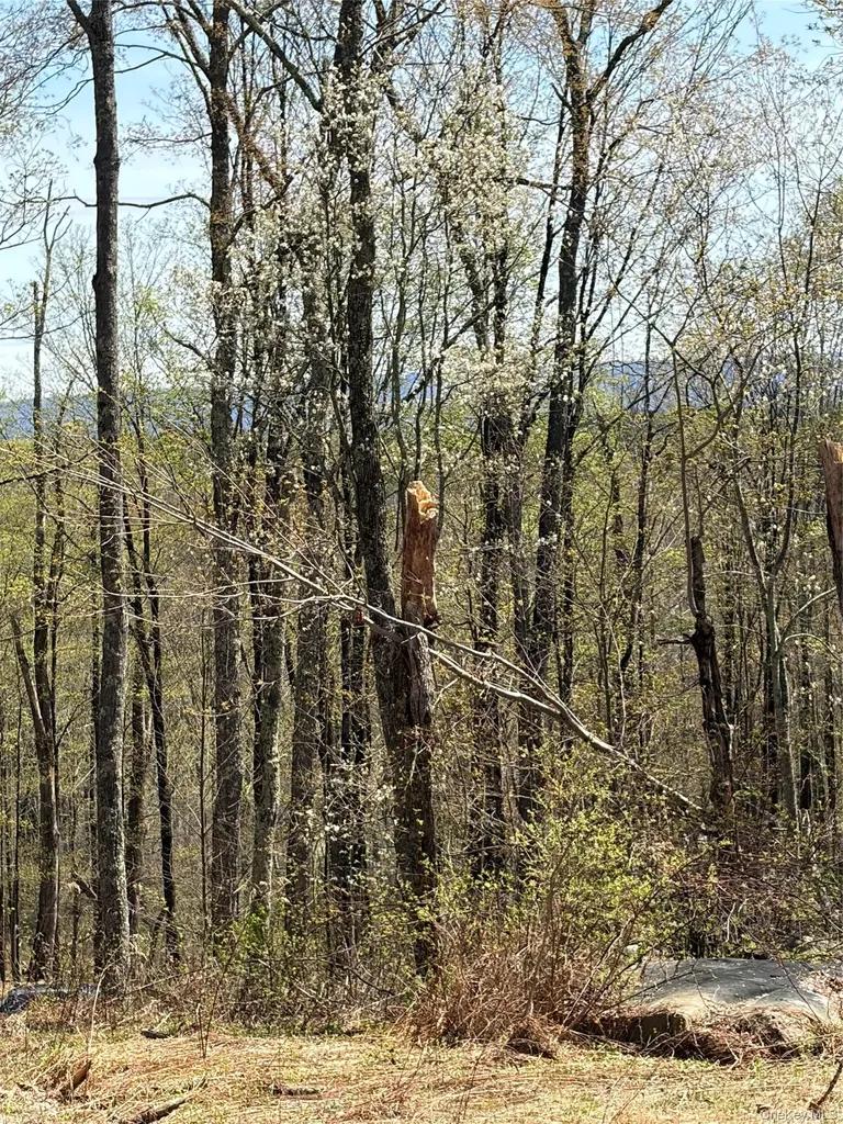 209 Stream Hollow Fallsburg NY 12428