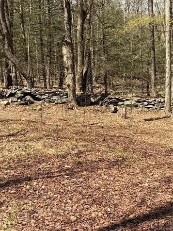 209 Stream Hollow Fallsburg NY 12428