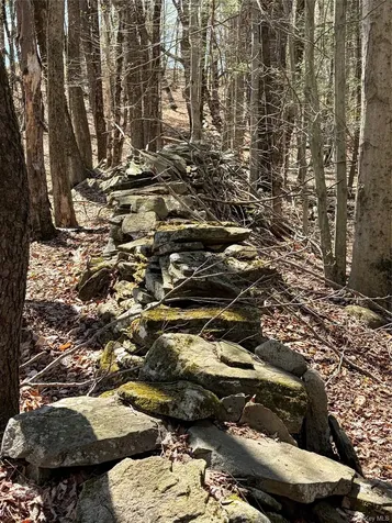 209 Stream Hollow Fallsburg NY 12428
