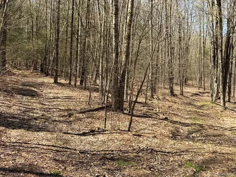 209 Stream Hollow Fallsburg NY 12428