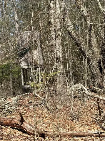 209 Stream Hollow Fallsburg NY 12428