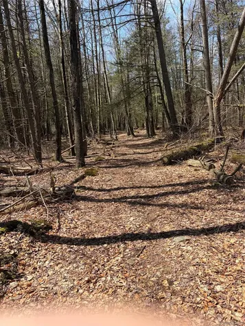 209 Stream Hollow Fallsburg NY 12428