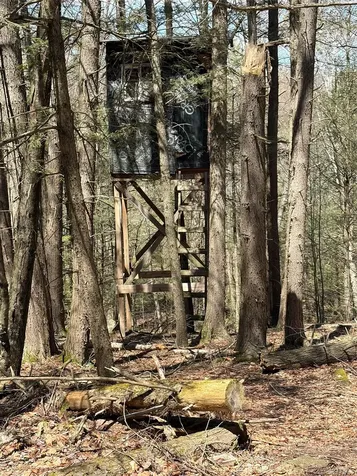 209 Stream Hollow Fallsburg NY 12428
