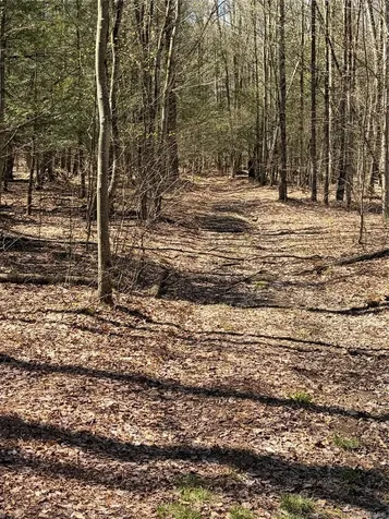 209 Stream Hollow Fallsburg NY 12428