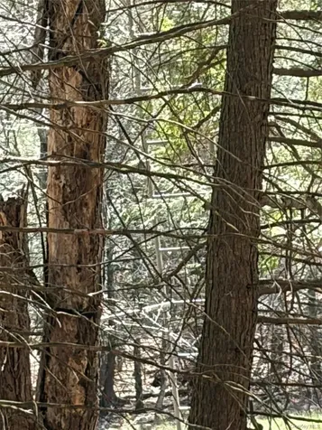 209 Stream Hollow Fallsburg NY 12428