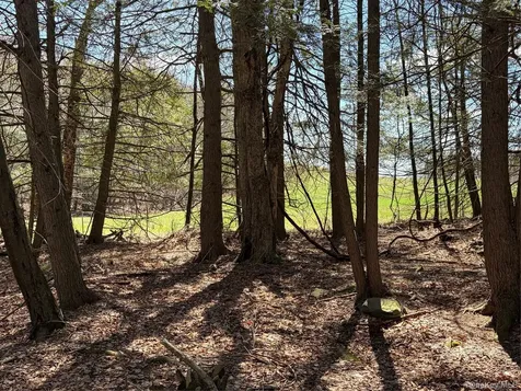 209 Stream Hollow Fallsburg NY 12428