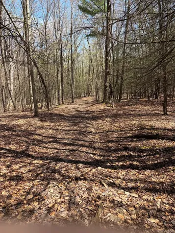 209 Stream Hollow Fallsburg NY 12428
