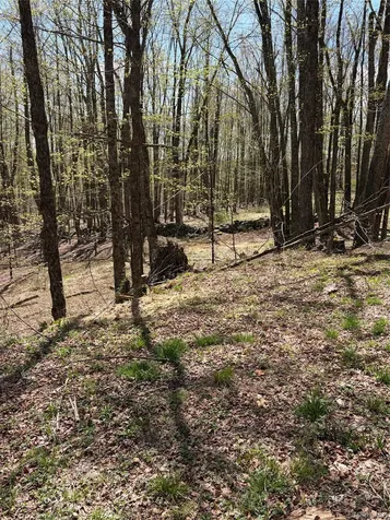 209 Stream Hollow Fallsburg NY 12428