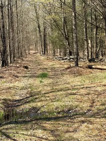 209 Stream Hollow Fallsburg NY 12428