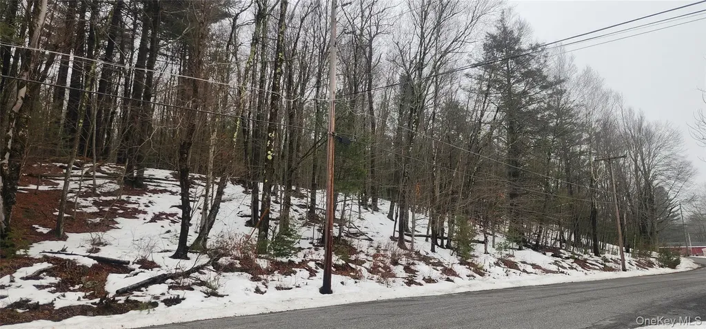 Hamilton Road Monticello NY 12701