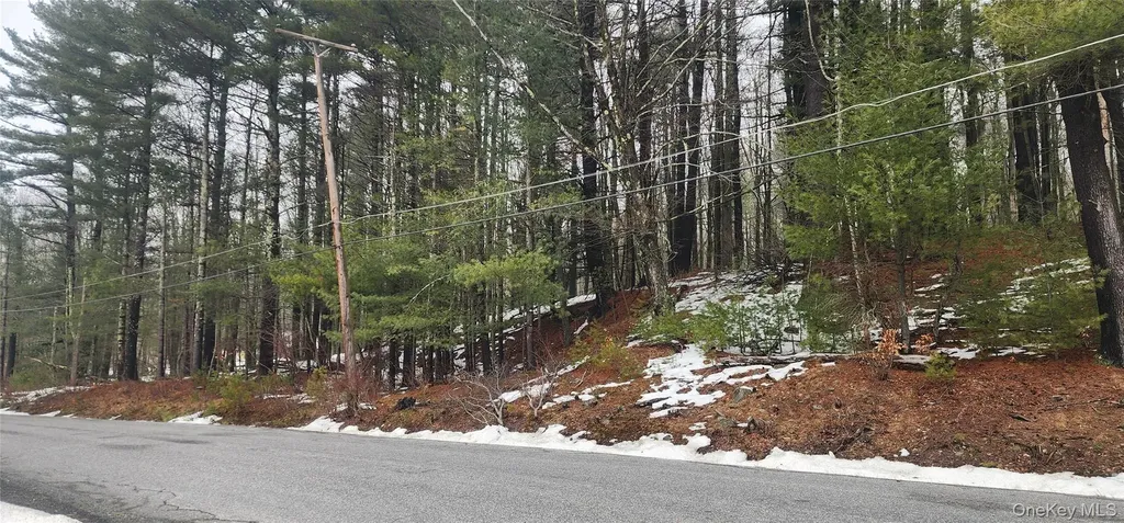 Hamilton Road Monticello NY 12701