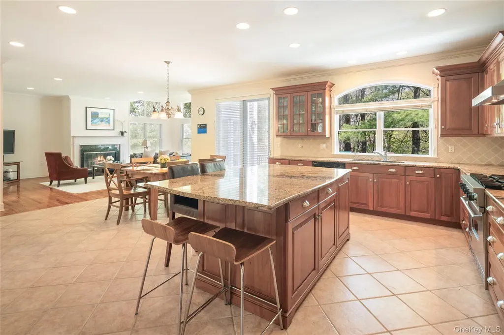 11 Hollow Tree Road Briarcliff Manor NY 10510