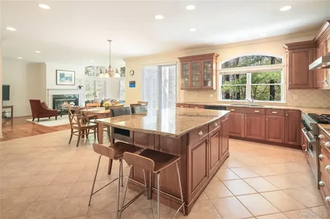 11 Hollow Tree Road Briarcliff Manor NY 10510