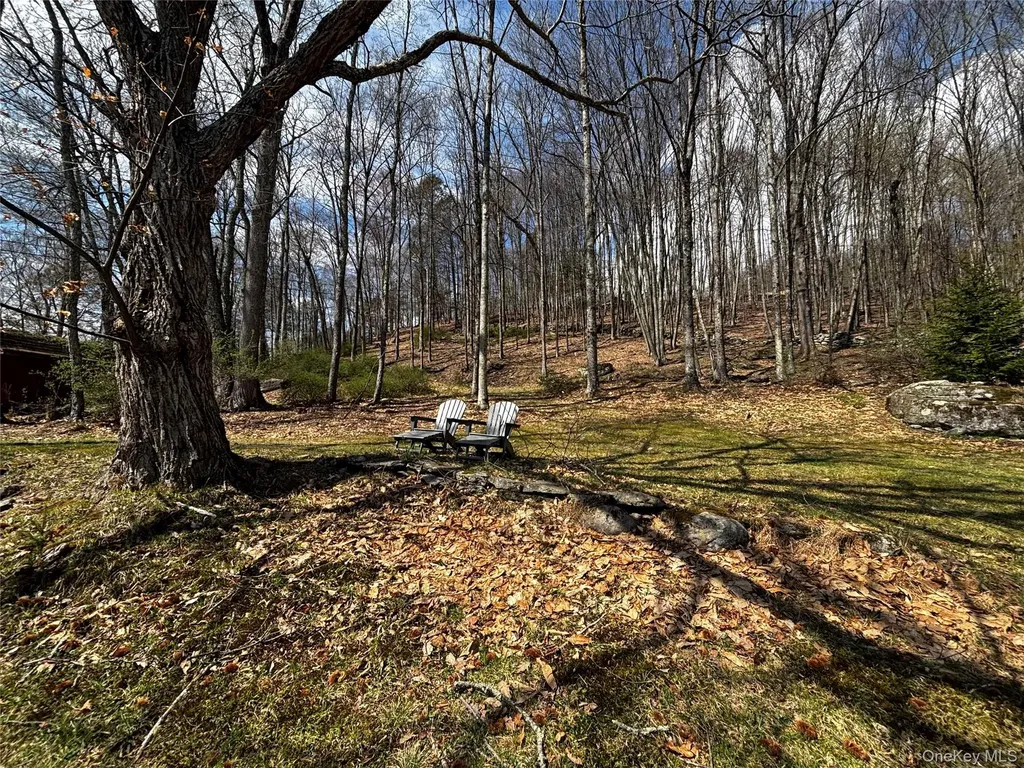 711 Sundown Road Sundown NY 12740