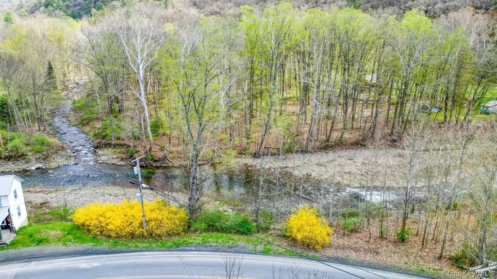 711 Sundown Road Sundown NY 12740