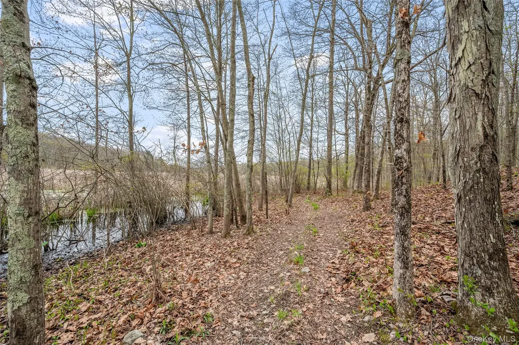 42 Browning Road Hyde Park NY 12538