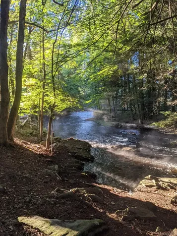 64 Cumberland Trail Smallwood NY 12778